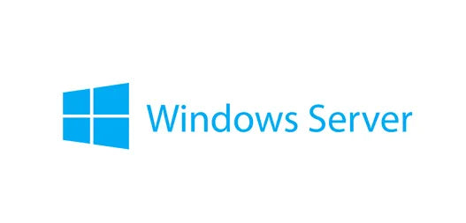 Lenovo-DCG-Microsoft-Windows-Server-2019-Client-Access-License-(5-User)